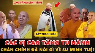 KHÔNG NGỜ TỚI! Các Vị Cao Tăng Tu Hành Chân Chính ĐÃ NÓI GÌ VỀ Sư Minh Tuệ?