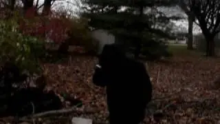 attack of the rake