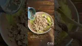 Tuna Bricks 🇲🇦🇩🇿🇹🇳