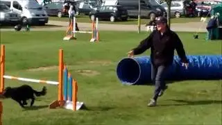 Dog Agility with Handling360 is working it from your own angle