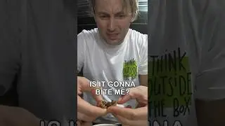 Phil Bland Tastes Street Food in Yogyakarta Indonesia 🇮🇩 #shorts