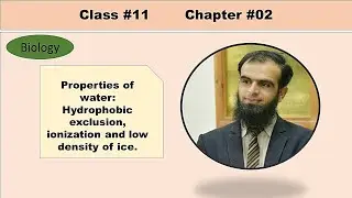 Hydrophobic exclusion, Ionization and Low density of ice