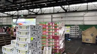 Sydney Market (Best paddy&rsquo;s market) in Sydney Australia