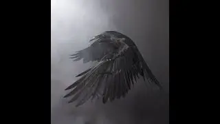 Shifting Guided Mediation Raven Method (count to 100) (100)