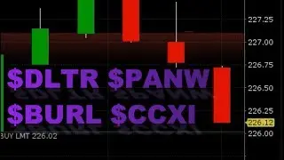 Day trading big movers $DLTR $PANW $BURL $CCXI