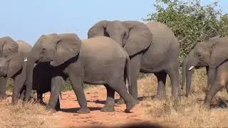 Gonarezhou National Park, Zimbabwe