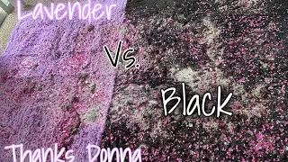 Lavender 💜 Vs. Black 🖤 Rug | Shark Vacuum | Thanks @DLVASMR for the rug