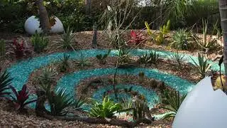 Plants with Personality, Salvador Dali: Gardens of the Mind