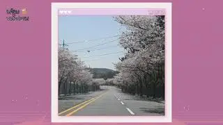 Spring in Korea, Cherry Blossom l Liezl's VDiary   #shorts