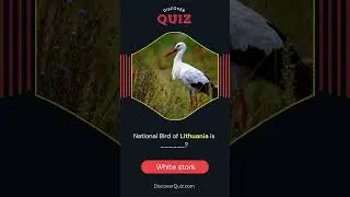 National Bird of Lithuania #quiztime #birds #birdslover #wildlife #animals #quiz #nature