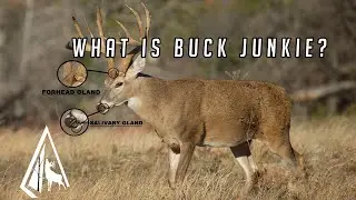Raised Scents Overviews: Buck Junkie