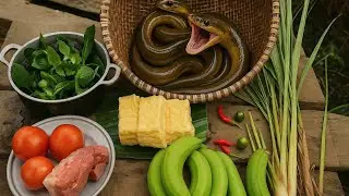 Eel Curry with Green Banana and Tofu &ndash; Outdoor Village Cooking in the Wild