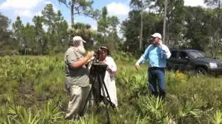 Pine Island Property Saved!