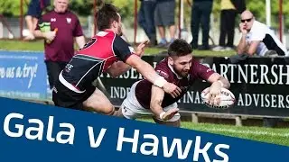 AS LIVE | Gala RFC v Glasgow Hawks