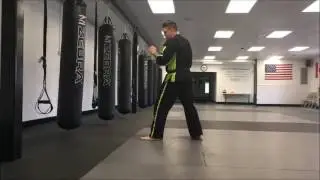 Lead Leg Round Kick