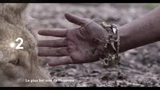Bande-Annonce LE PLUS BEL AMI DE L'HOMME de Fr&eacute;d&eacute;ric Fougea