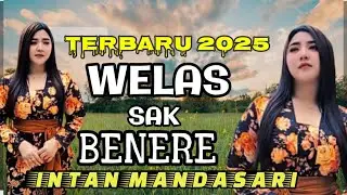 Lagu viral ll terbaru 2025 welas sak benere INTAN MANDASARI lokasi kota Hongkong HKU universitas 