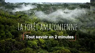 Tout savoir sur la for&ecirc;t amazonienne en 2 minutes!