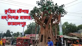 বকশিগঞ্জ বাজার/কৃত্রিম বটগাছ/বকশিগঞ্জ, জামালপুর/Artificial Banyan tree/Bokshigonj upazila Jamalpur