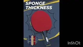Best Ping Pong Paddle Set for Home & Outdoor Play 🏓 | Glymnis Review