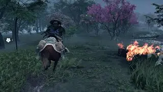 Ghost of Yōtei Waterfall Wolf Den & Wolf Pack Mask