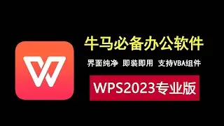牛马必备！WPS2023专业纯净版，支持VBA组件！