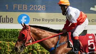 MANGKORN CHOKE DEE - 01/02/2026 - Race 5 - The Glow Stakes (Thoroughbred Class 4B)