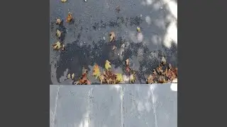 Free from the Past