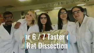 Winchmore School - Taster day 2024 video - By Dr. Ktori