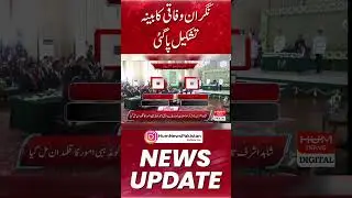 Caretaker federal cabinet was formed