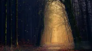 A Journey Into Into the Golden Forest | Forest Nature Sounds With Soothing Music | Cinemagraph🎃🍂🍎