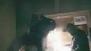 DVS FT TAZ