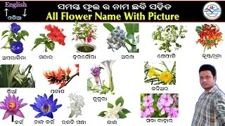 All Flower Name English to Odia | Flower Name Odia | Phula Ra Nama Odia | Krushna Classroom |
