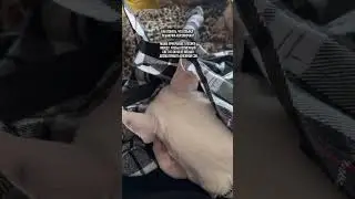 ну люблю ее, че поделать)) #бультерьер #bullterrier #собаки
