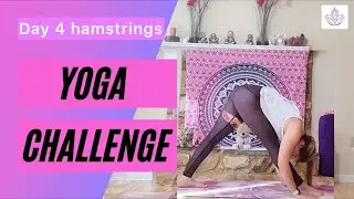 Day 4 Full Body Flexibility Challenge | Yoga for Hamstrings | Yoga for Beginners