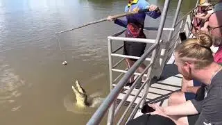 Darwin NT Jumping Crocodile