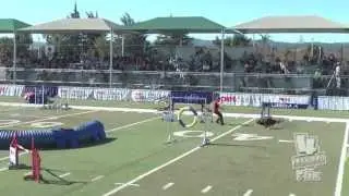 Cynosport 2014 highlights -  Zappa & Dizzy