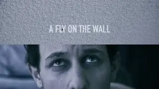 A Fly On The Wall Short Film