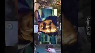 Coolie Flashback: De-Aged Rajinikanth?! 🔥 SK Cameo as Young Thalaivar (Fan Theory) #Shorts #Coolie
