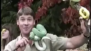 Стив и Терри Ирвин с зелеными питонами в Brad's World Reptiles