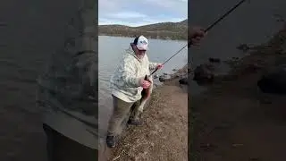2 февраля 2026 г.