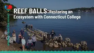 Reef Balls | Connecticut College Restoration Project