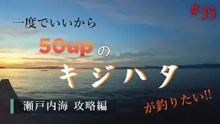 【香川の、激流 】一度でいいから50upのキジハタが釣りたい!!#35【ロックフィッシュ】