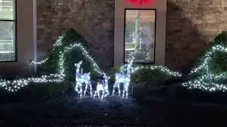 A Christmas Decorated Store 2025