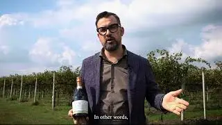 Corvezzo - Organic & Vegan Prosecco doc