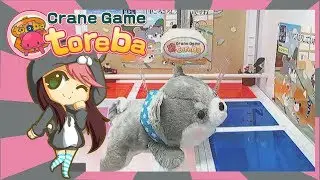 Toreba | Tips for the Push Claw