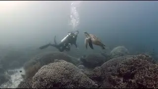 2018 Diving Famtrip with See Through Sea in Komodo National Park, Nusa Tenggara