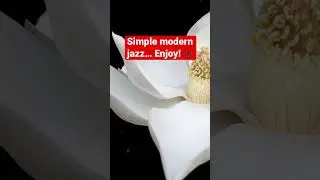 #music #tranquilscenes #peace #jazz #relaxing Relax and enjoy! 🎶