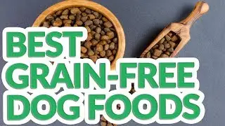 Best Grain Free Dog Food 2019 - 9 TOP Grain Free Dog Foods