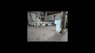 Hundeschule Wolf und Co am 10.Januar.2026 #hundepension #hundeschule #hundefutter